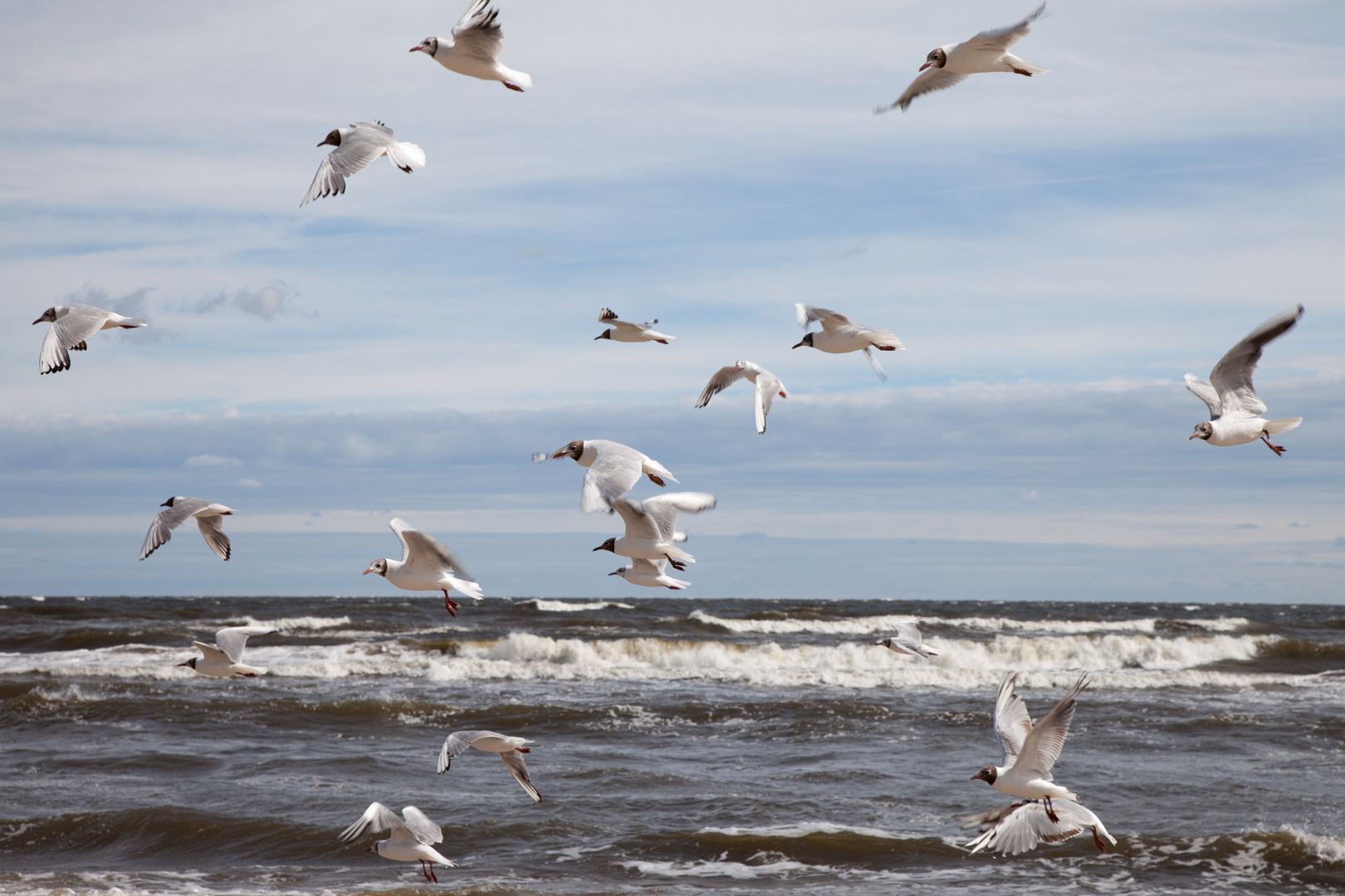 gegen den Wind