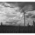 Gegen den Wind