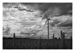 Gegen den Wind