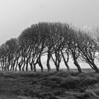 Gegen den Wind