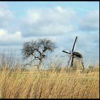 Gegen den Wind