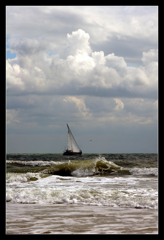 Gegen den Wind. (bearbeitet)