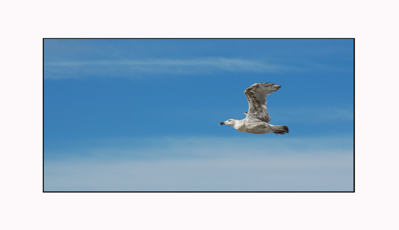 Gegen den Wind