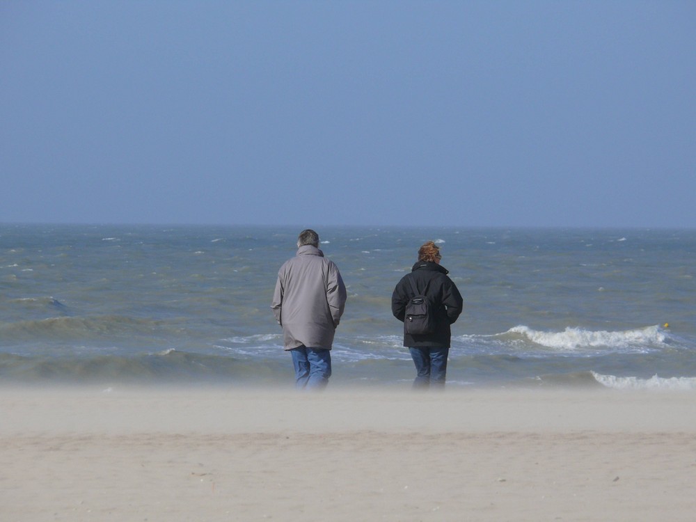 gegen den Wind