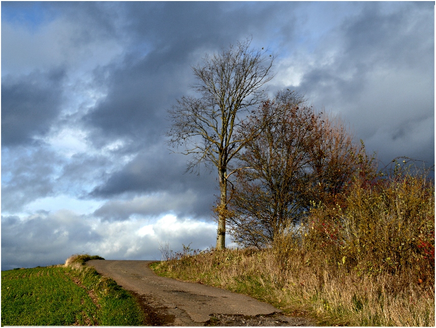 gegen den Wind