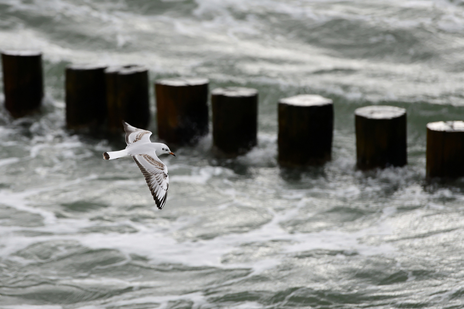 Gegen den Wind......