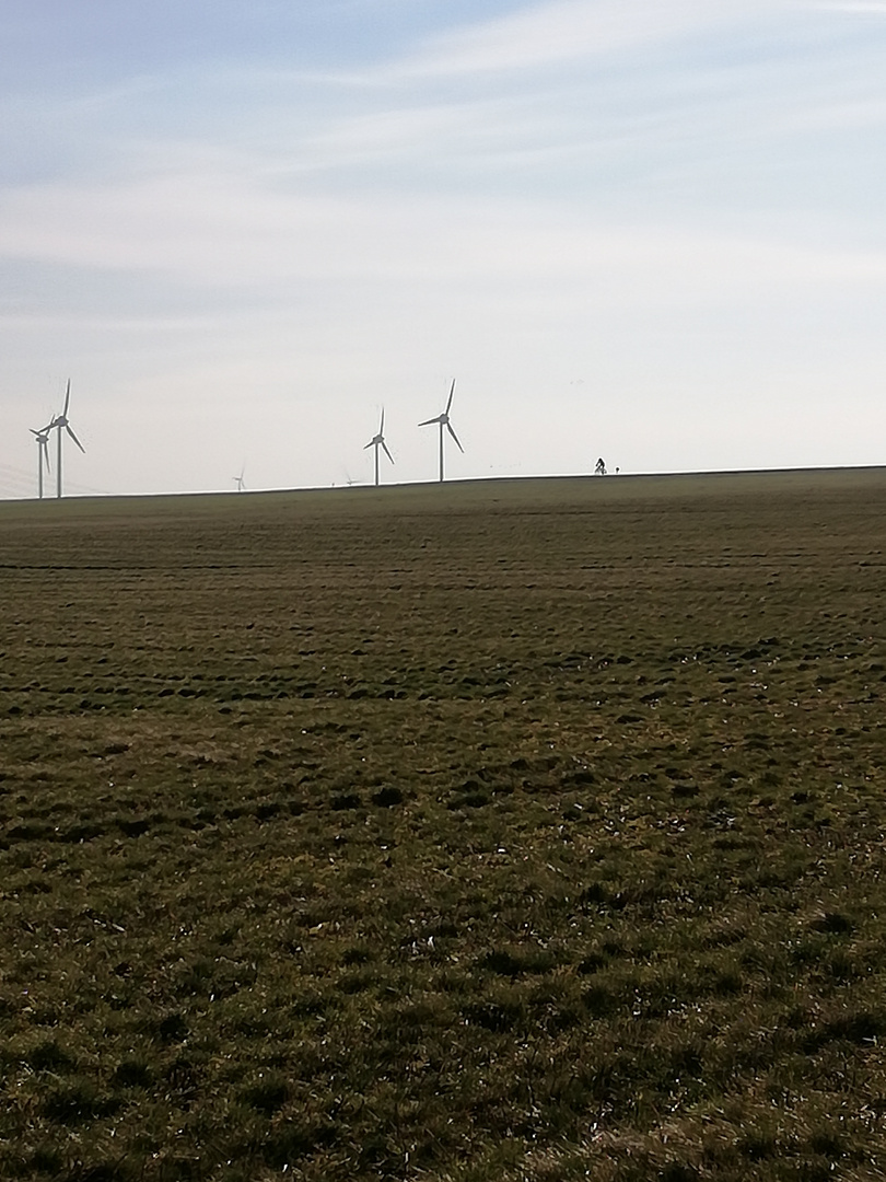 Gegen den Wind...... 