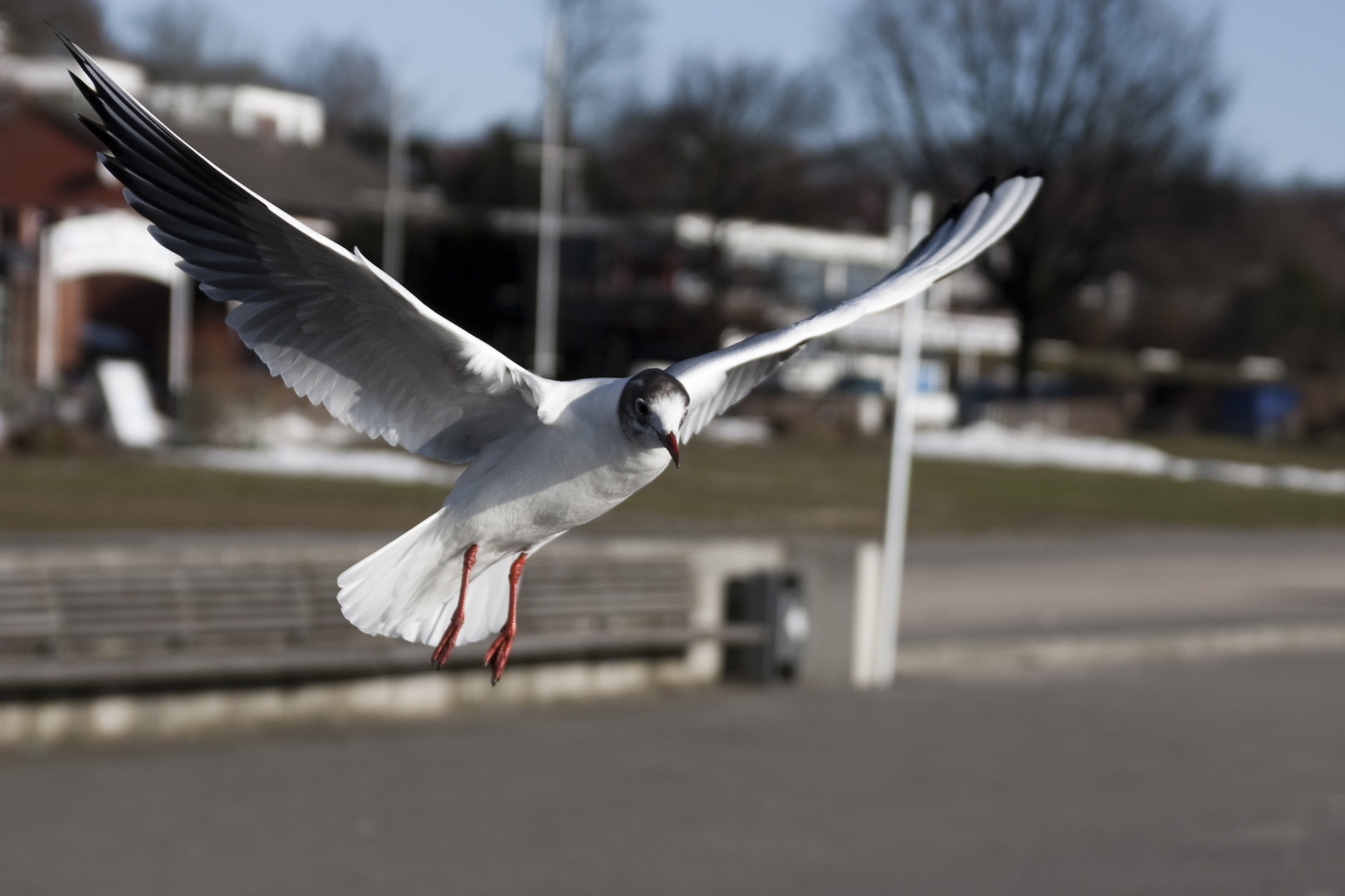 Gegen den Wind I