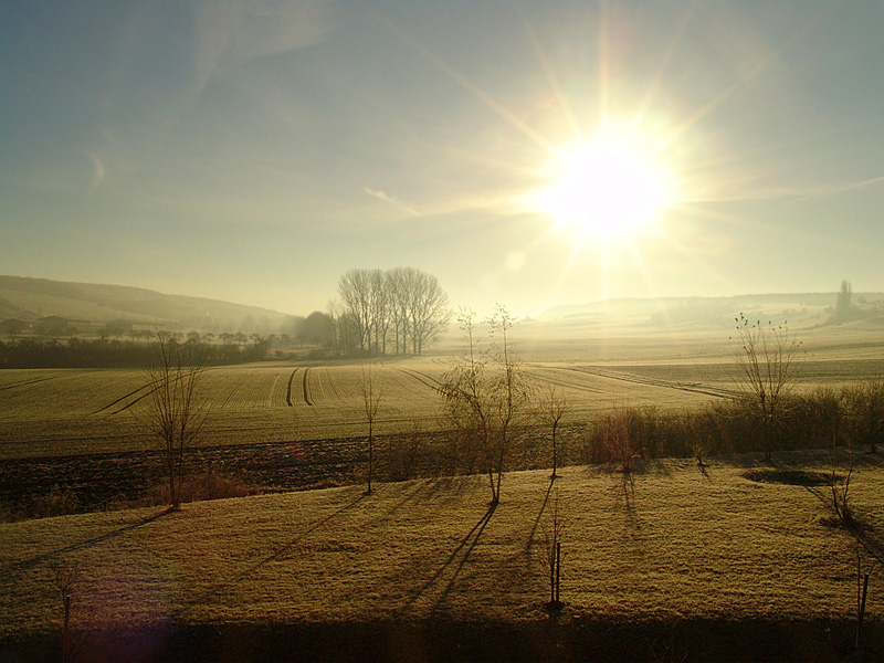 Gegen die Sonne