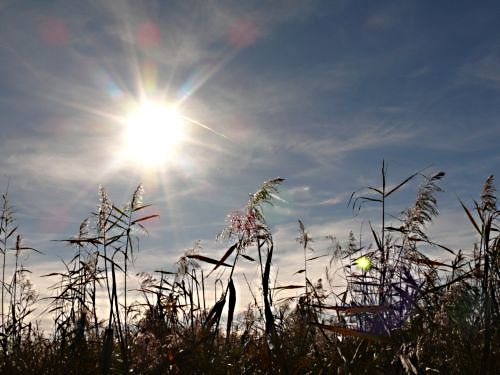 Gegen die Sonne