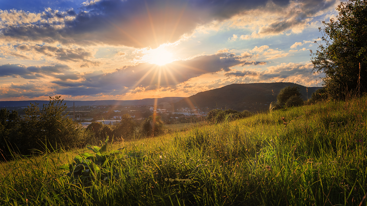 gegen die Sonne