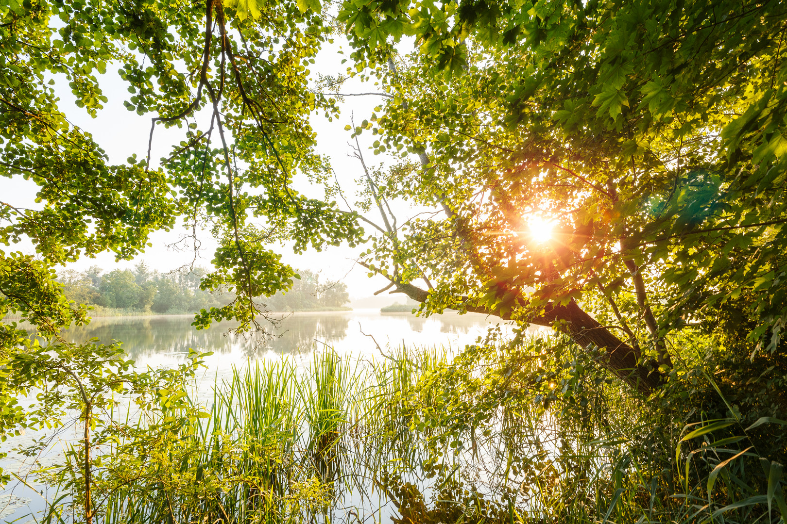 Gegen die Sonne