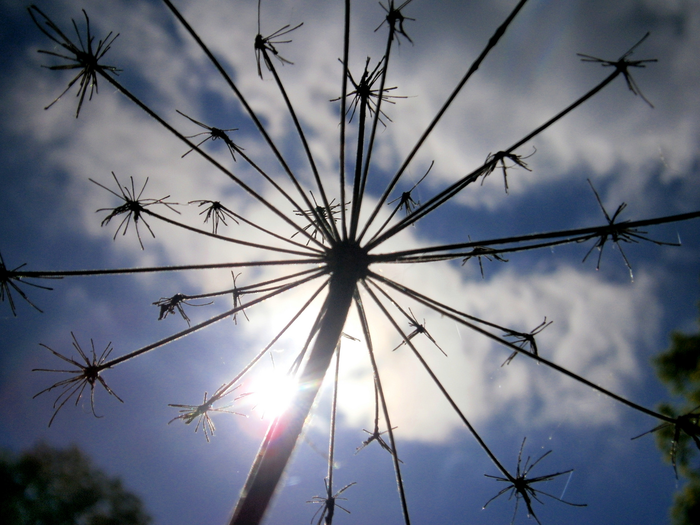 Gegen die Sonne