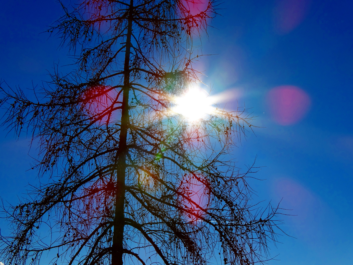 Gegen die Sonne