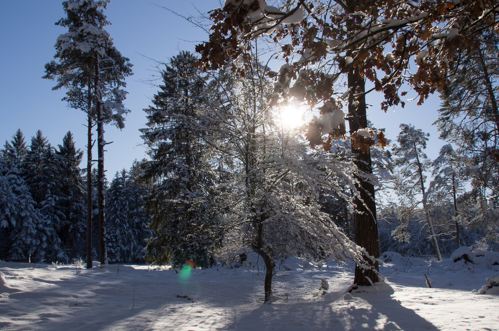 Gegen die Sonne...