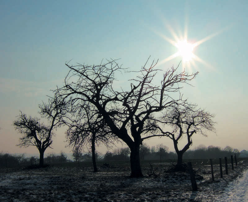 gegen die sonne...