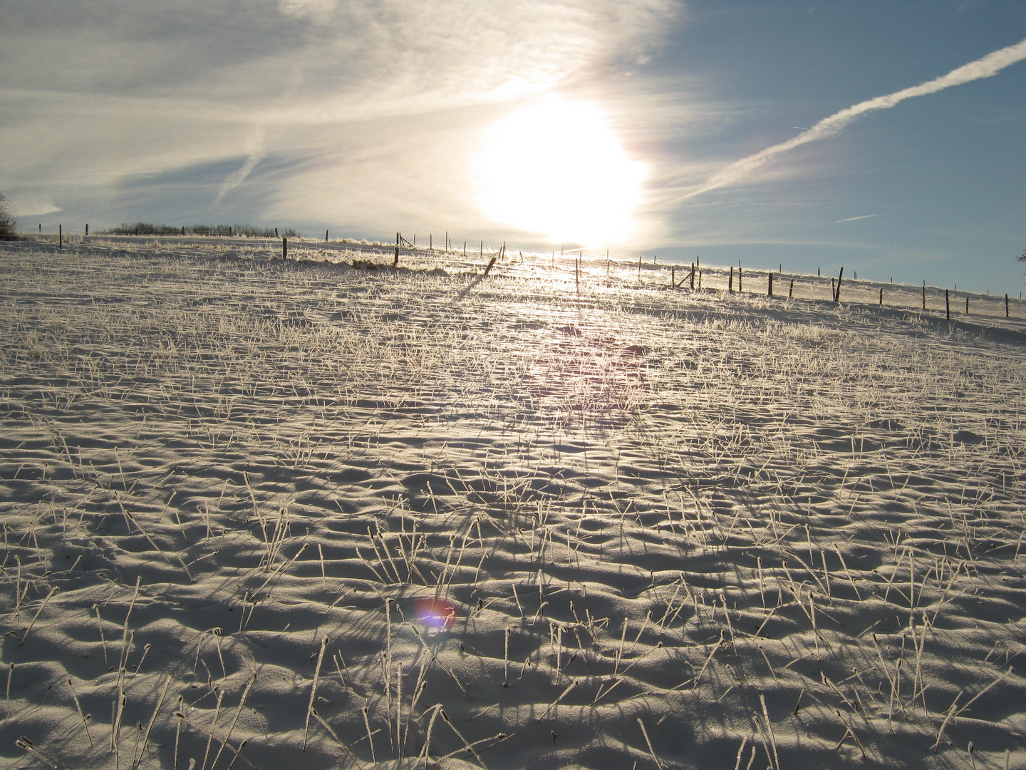 Gegen die Sonne