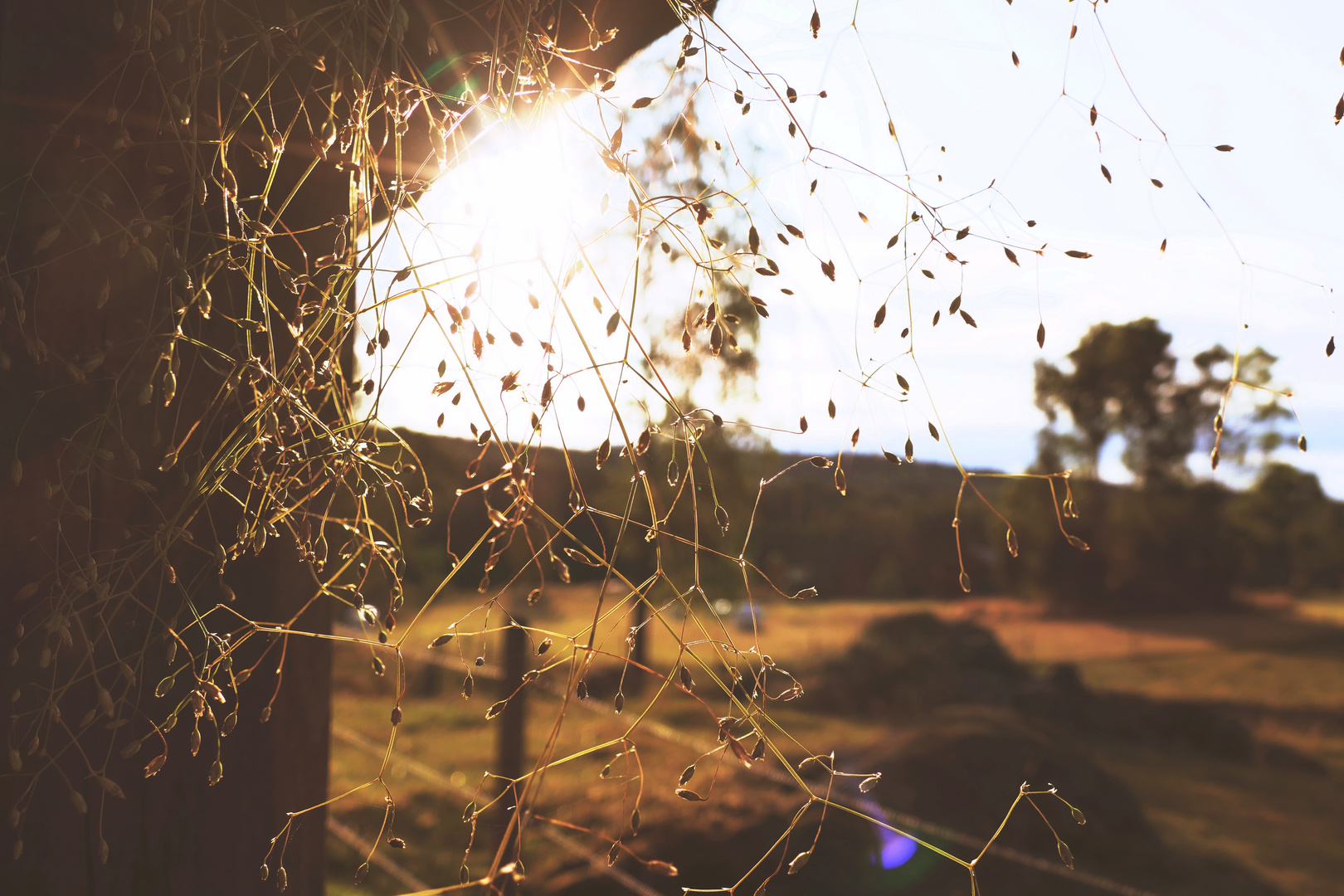 Gegen die Sonne