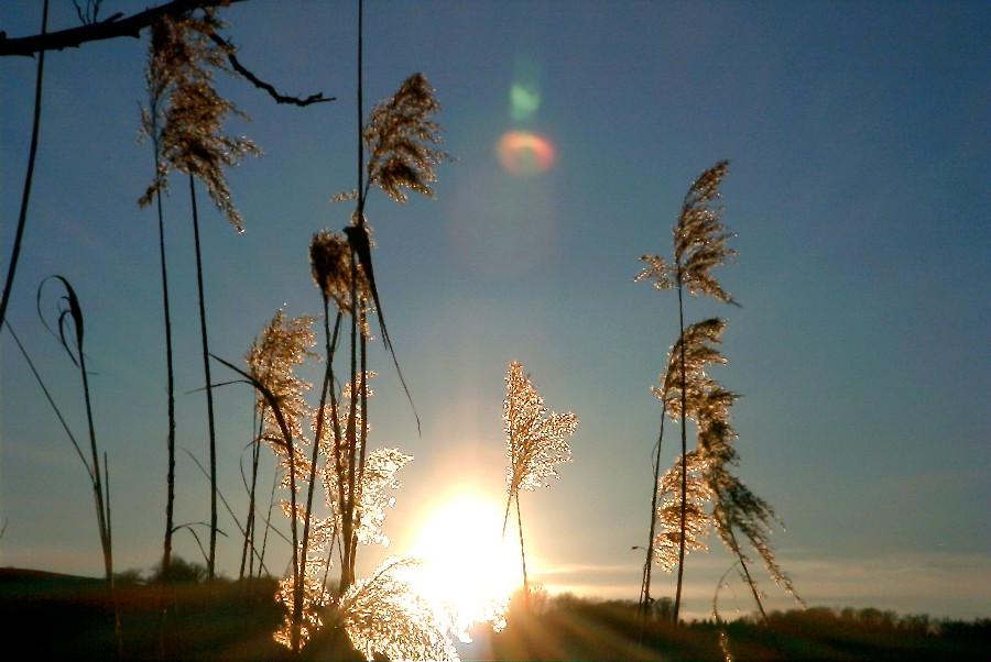 Gegen die Sonne