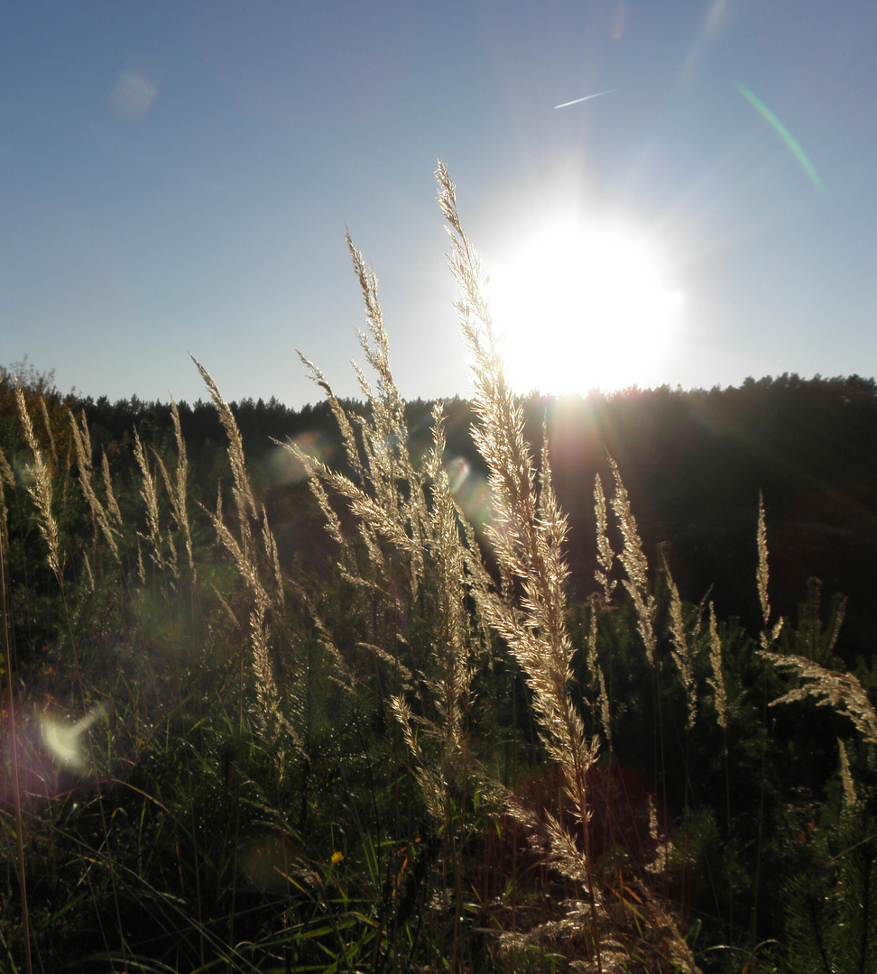 Gegen die sonne