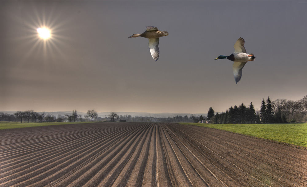 Gegen die Sonne