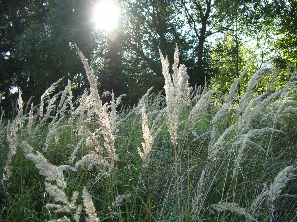 gegen die Sonne...