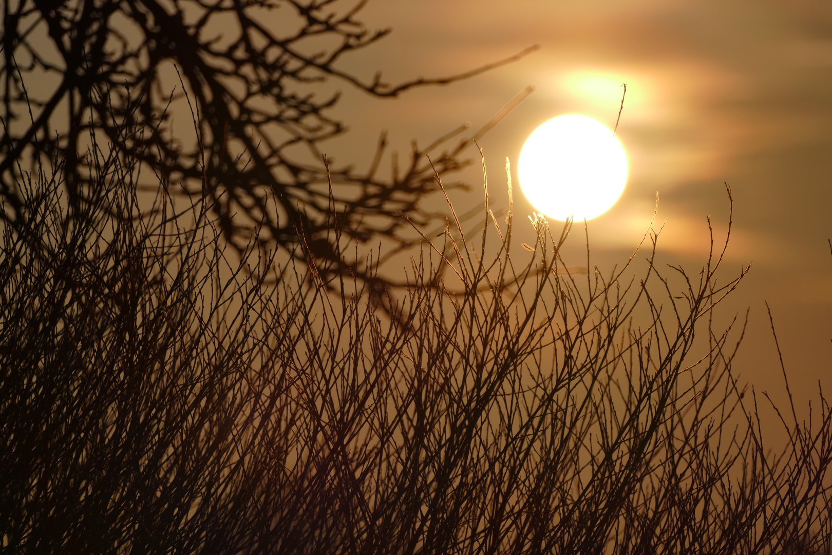 gegen die Sonne fotografiert