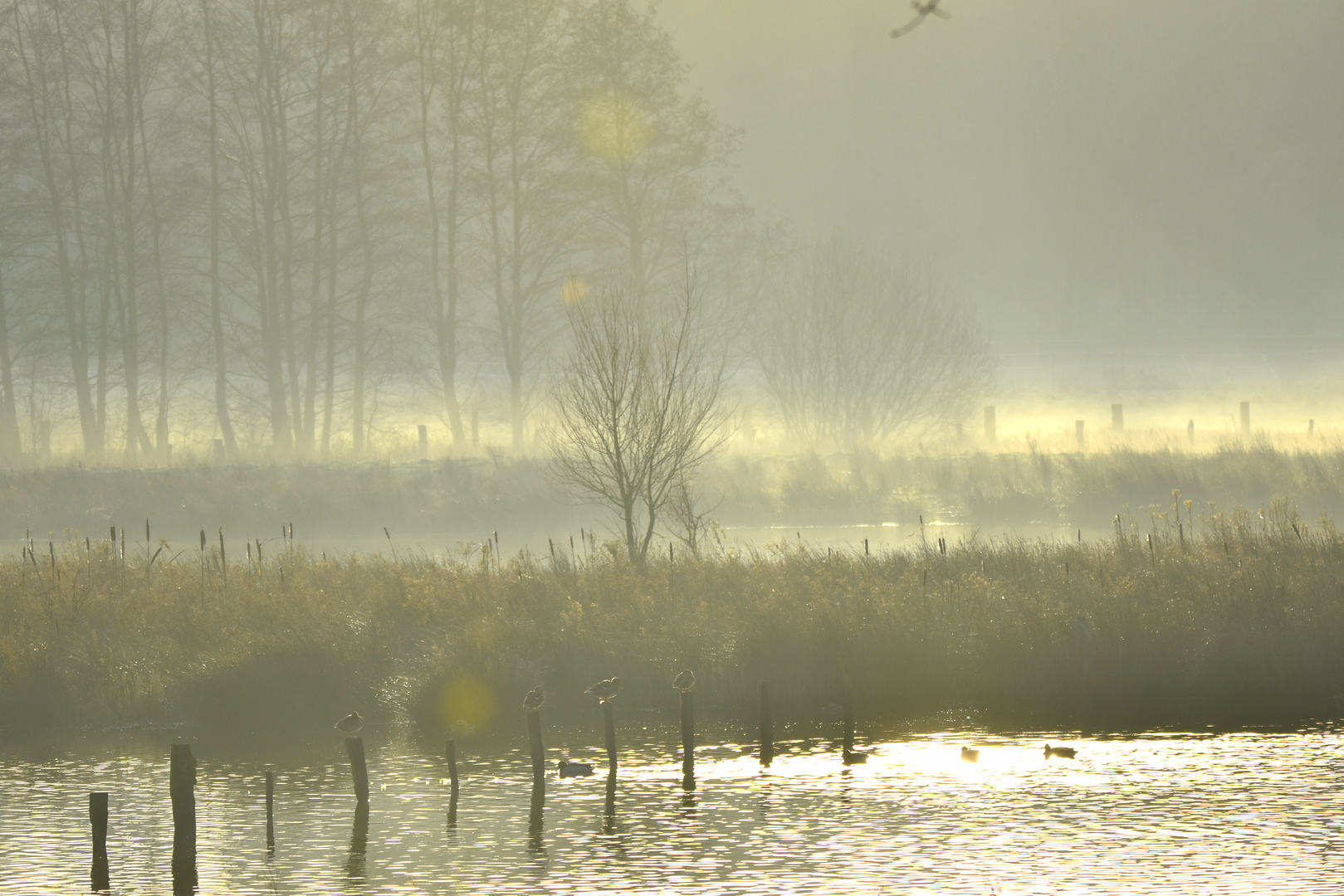 Gegen die Sonne II