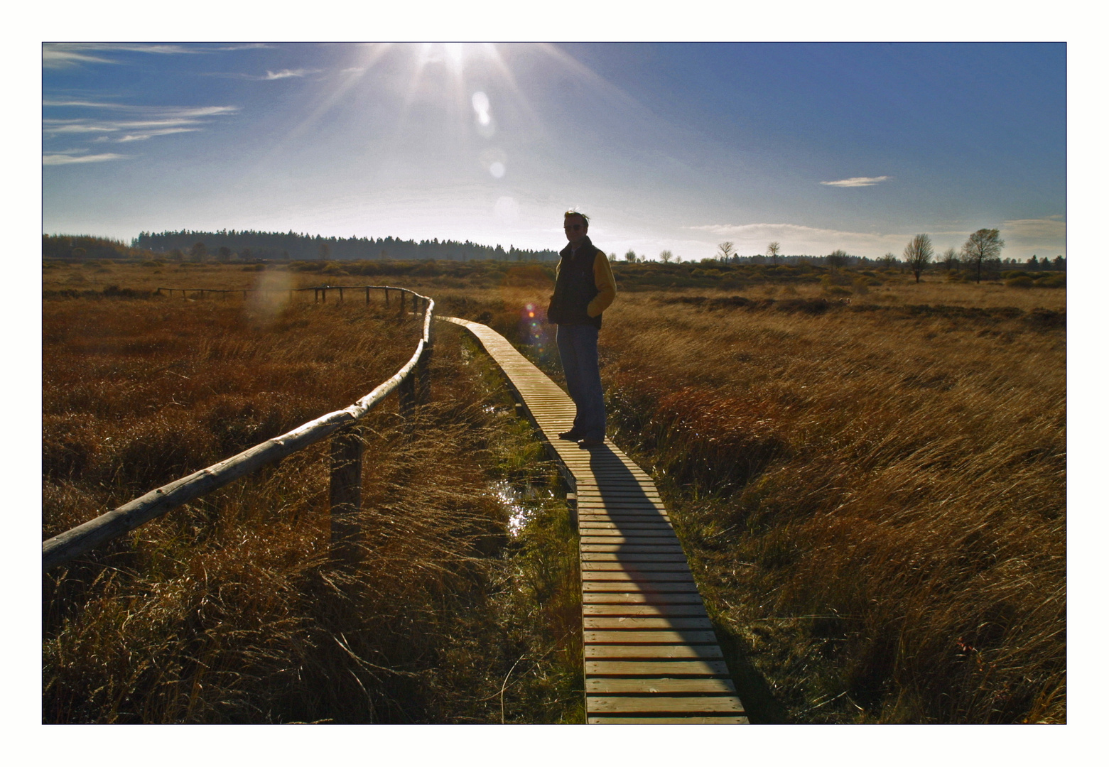 Gegen die Sonne im Moor