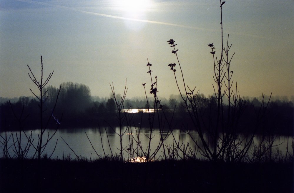 gegen die Sonne...und doch schön geworden