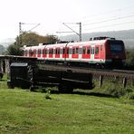 Gegen die Trübnis - eine Sonnenblume