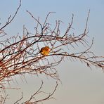 gegen diese Winterkälte