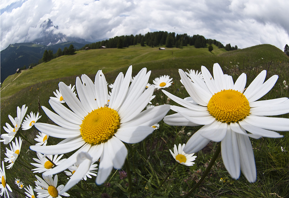 Gegen Herbstdepressionen