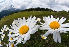 Gegen Herbstdepressionen