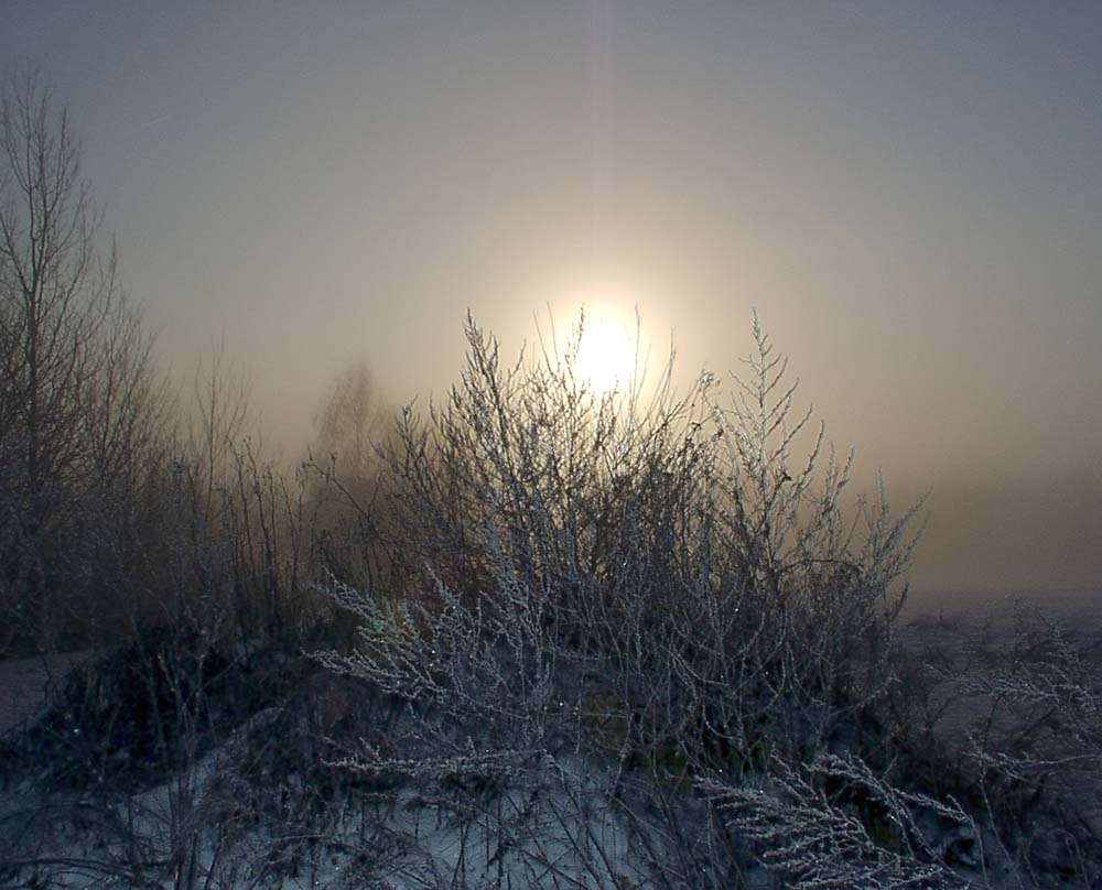 Gegen Licht