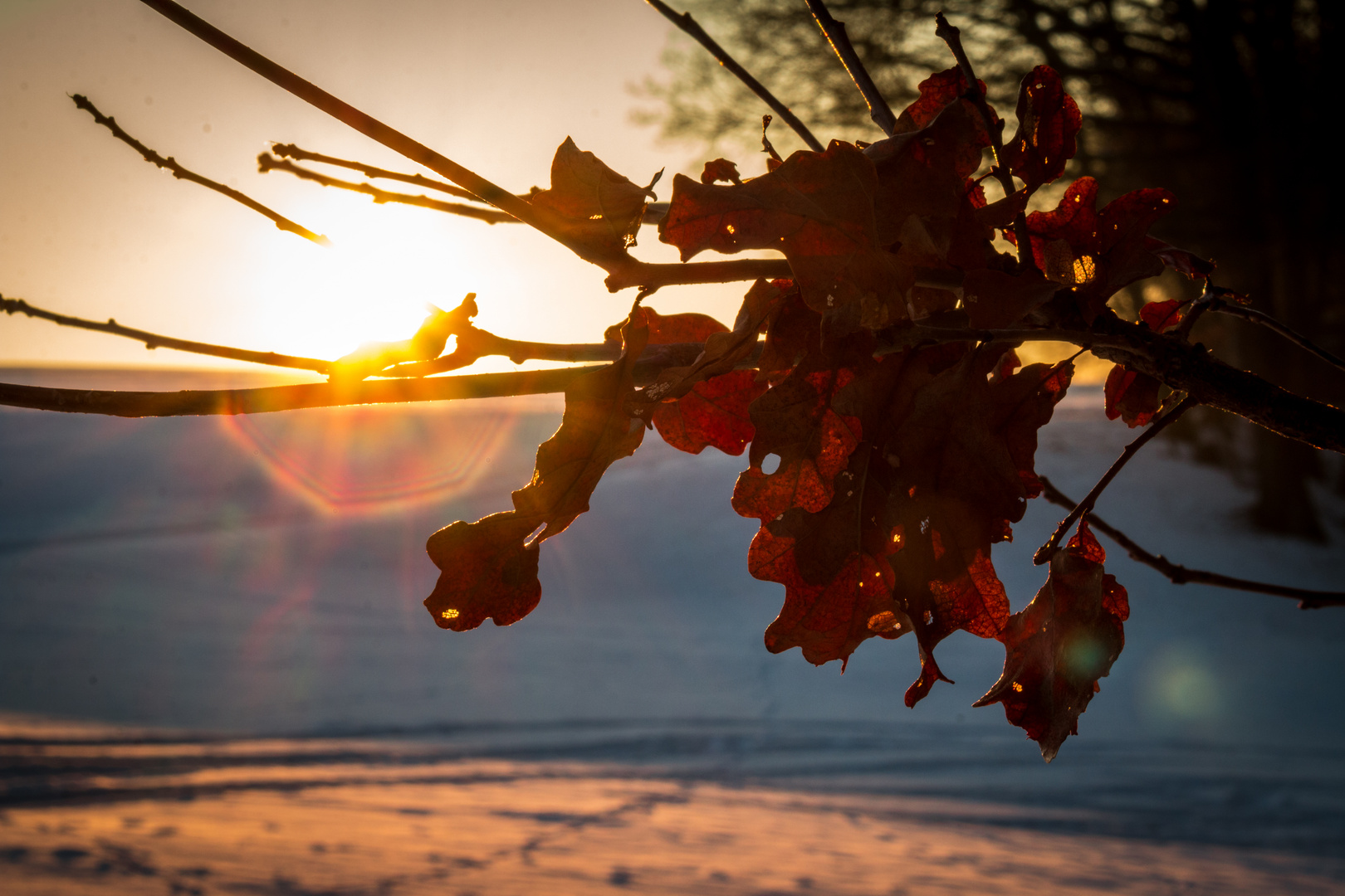 Gegen Licht