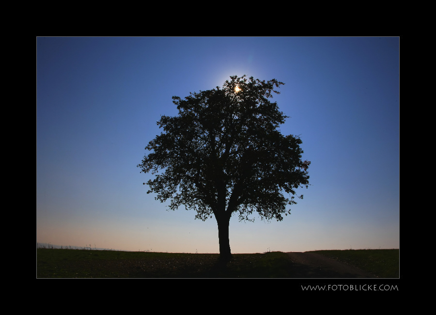 Gegen Licht