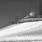 Gegen Winterende