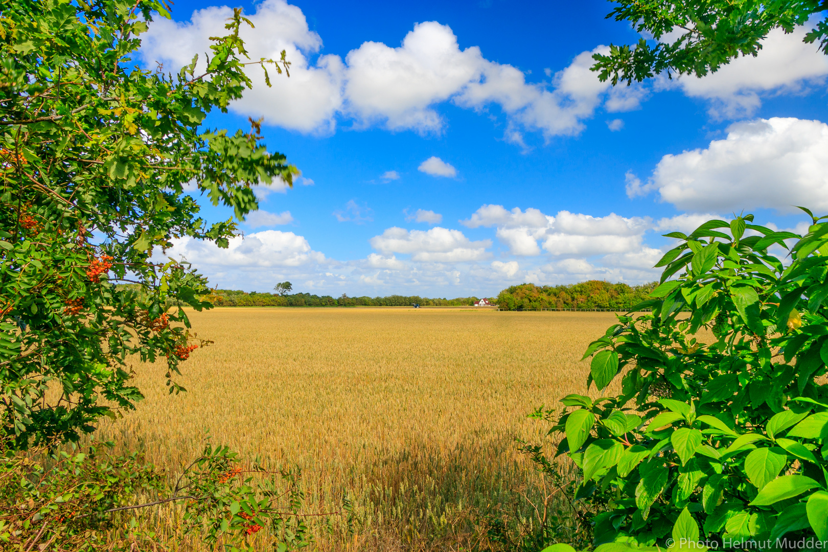 Gegend auf Texel