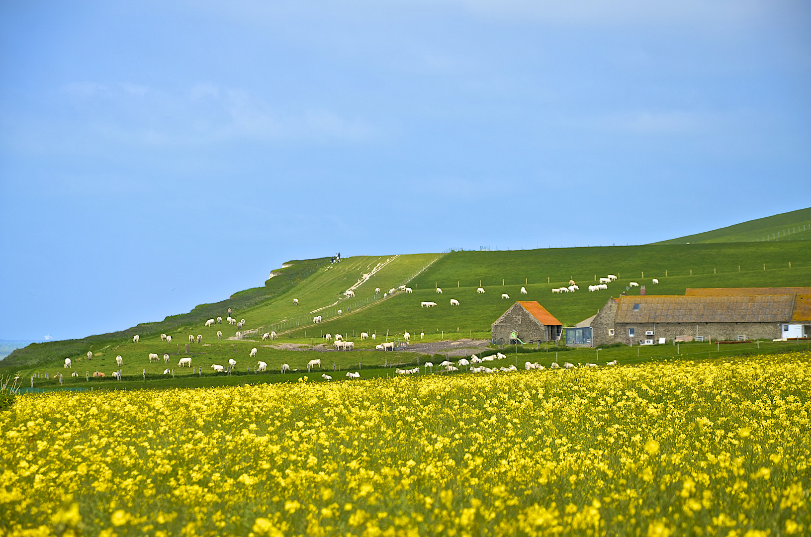 Gegend der zwei Kaps