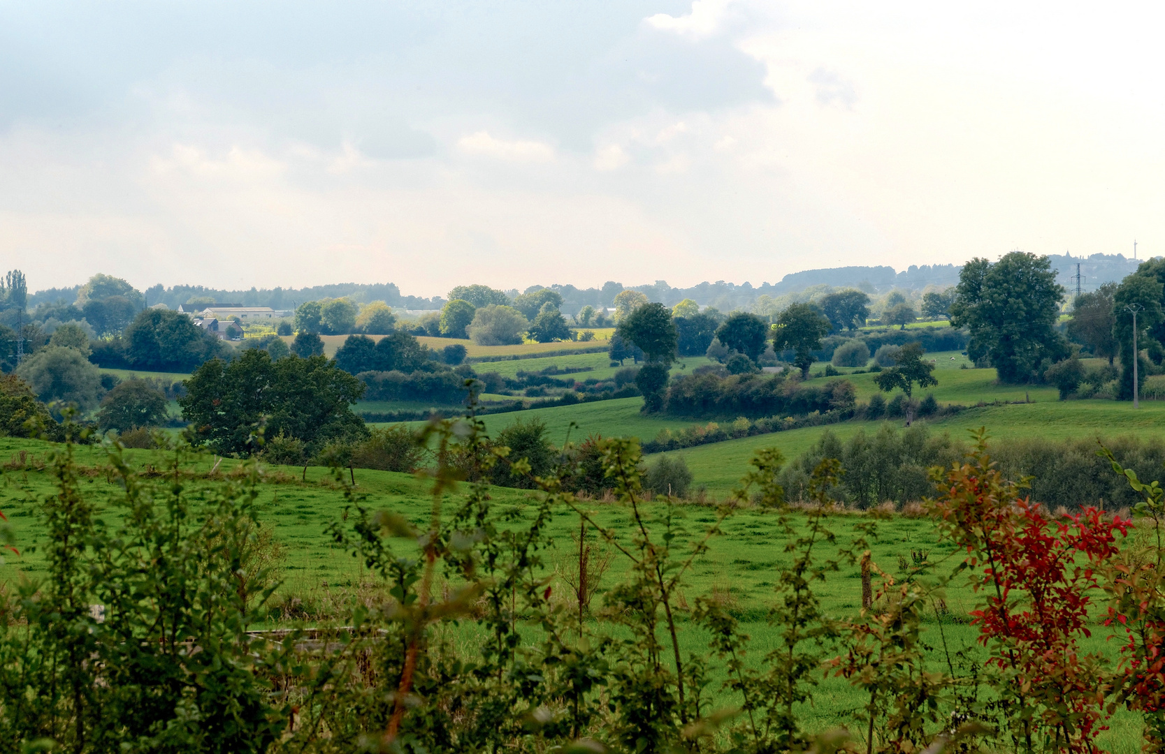 Gegend II, Heckenlandschaft