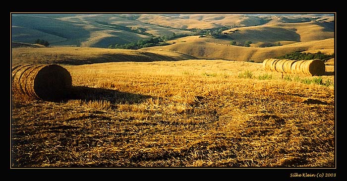 Gegend um Volterra