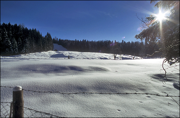 Gegenlicht