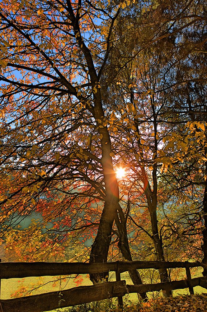 Gegenlicht 2