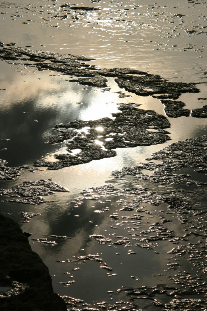 Gegenlicht 2: Weltnaturerbe-Strand bei Byxelkrok, Öland, Schweden