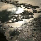 Gegenlicht 2: Weltnaturerbe-Strand bei Byxelkrok, Öland, Schweden