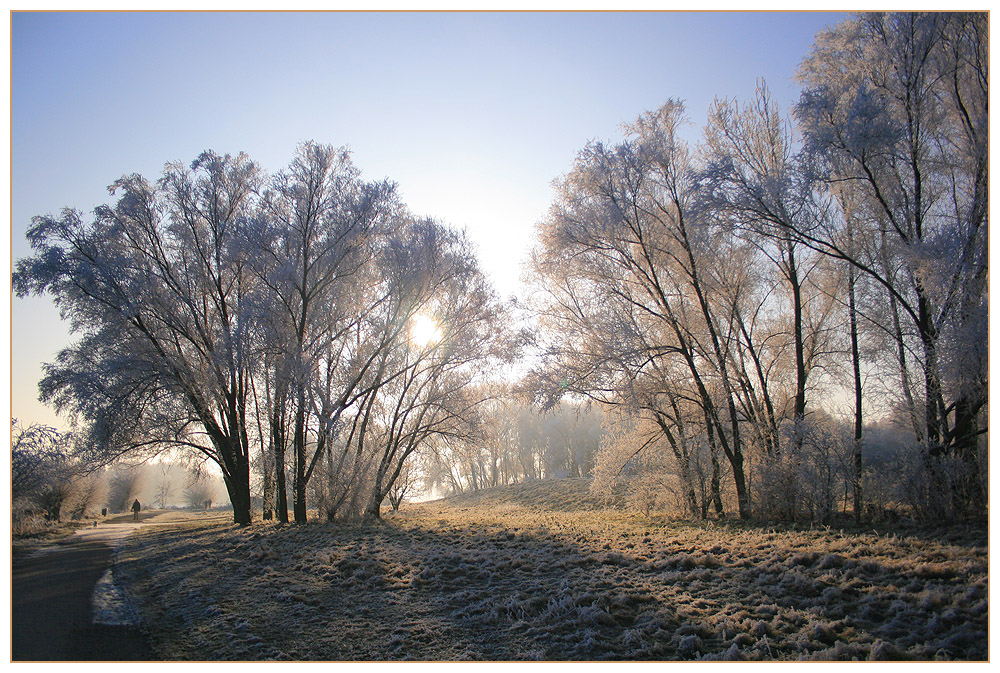 Gegenlicht