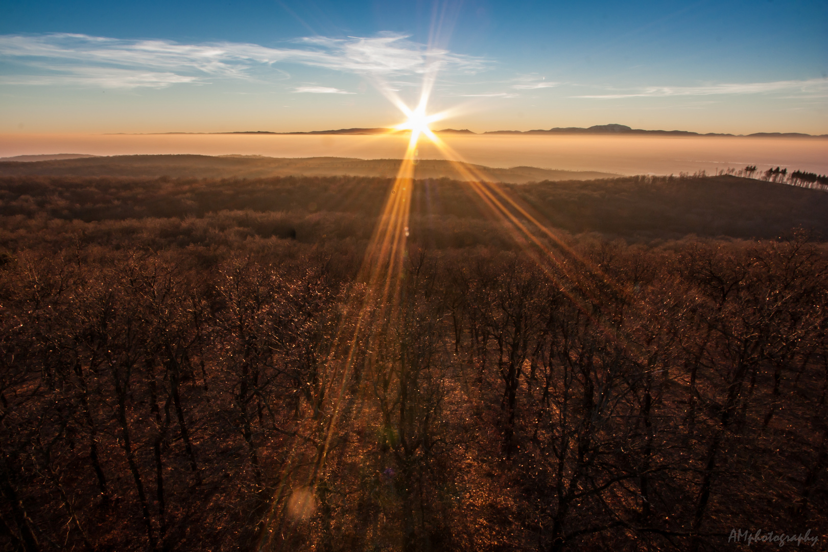 Gegenlicht