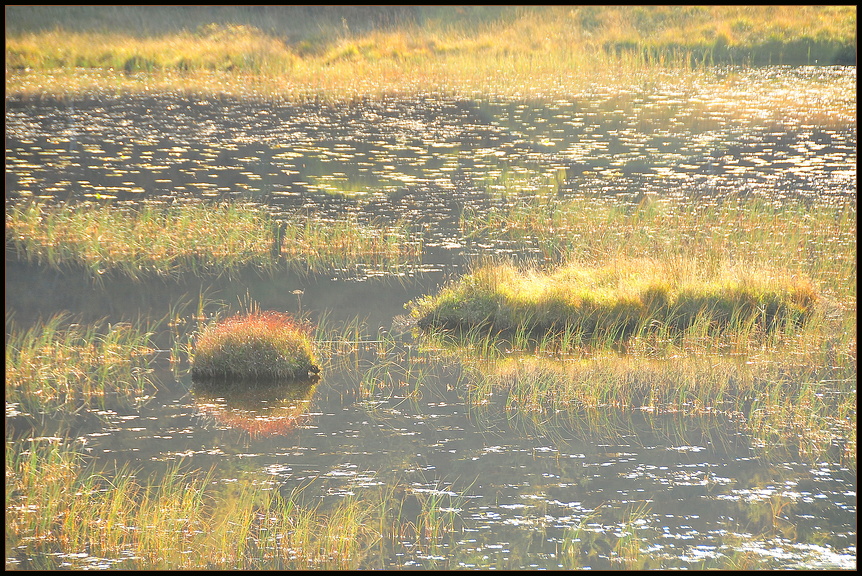 Gegenlicht