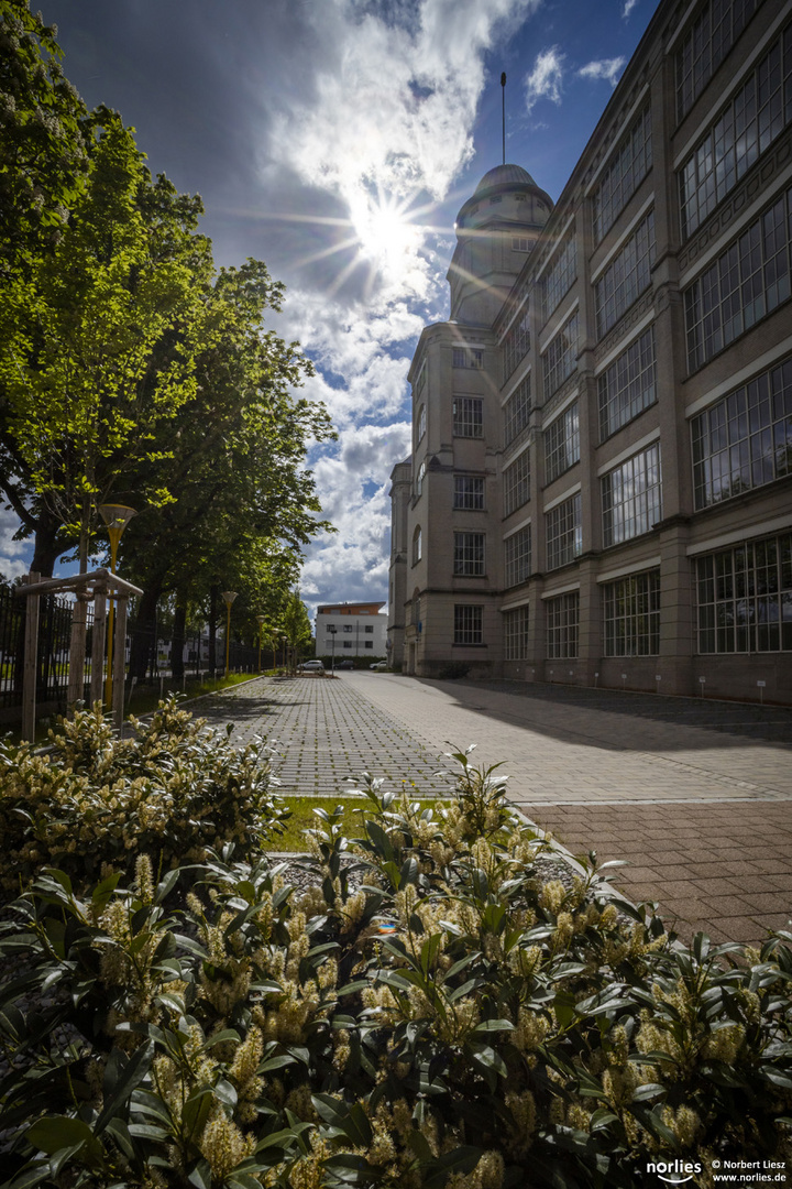 Gegenlicht am Glaspalast